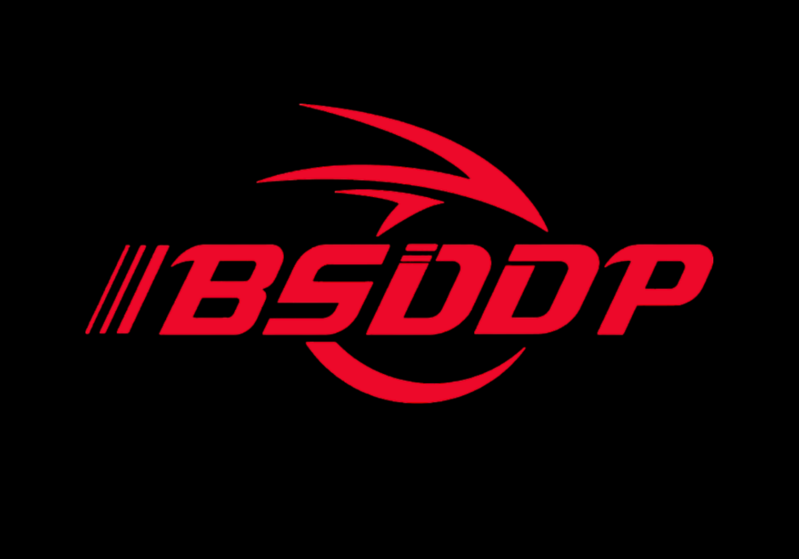 BSDDP