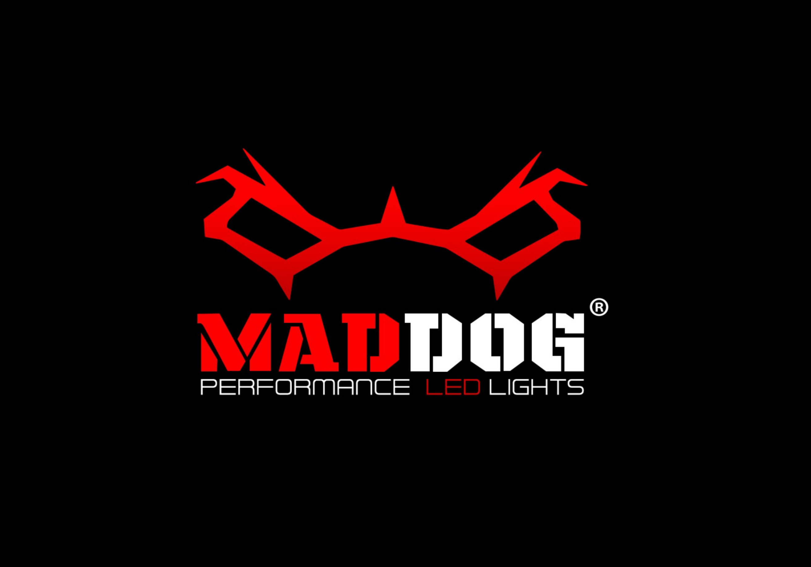 MAD DOG