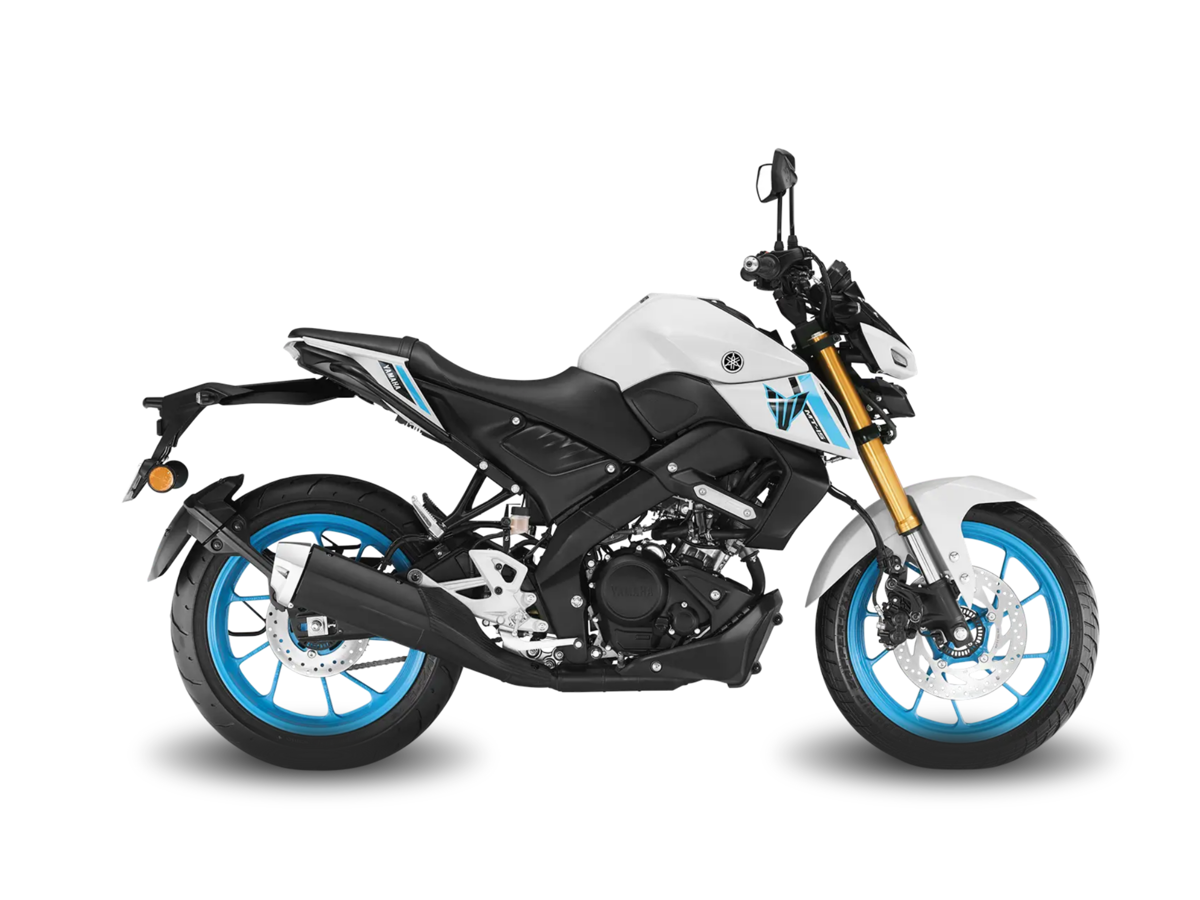 MT 15