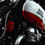 INTERCEPTOR GT 650 RADIATOR GUARD