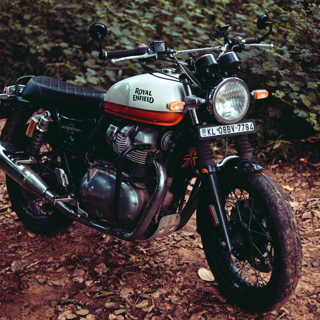 INTERCEPTOR GT 650 RADIATOR GUARD