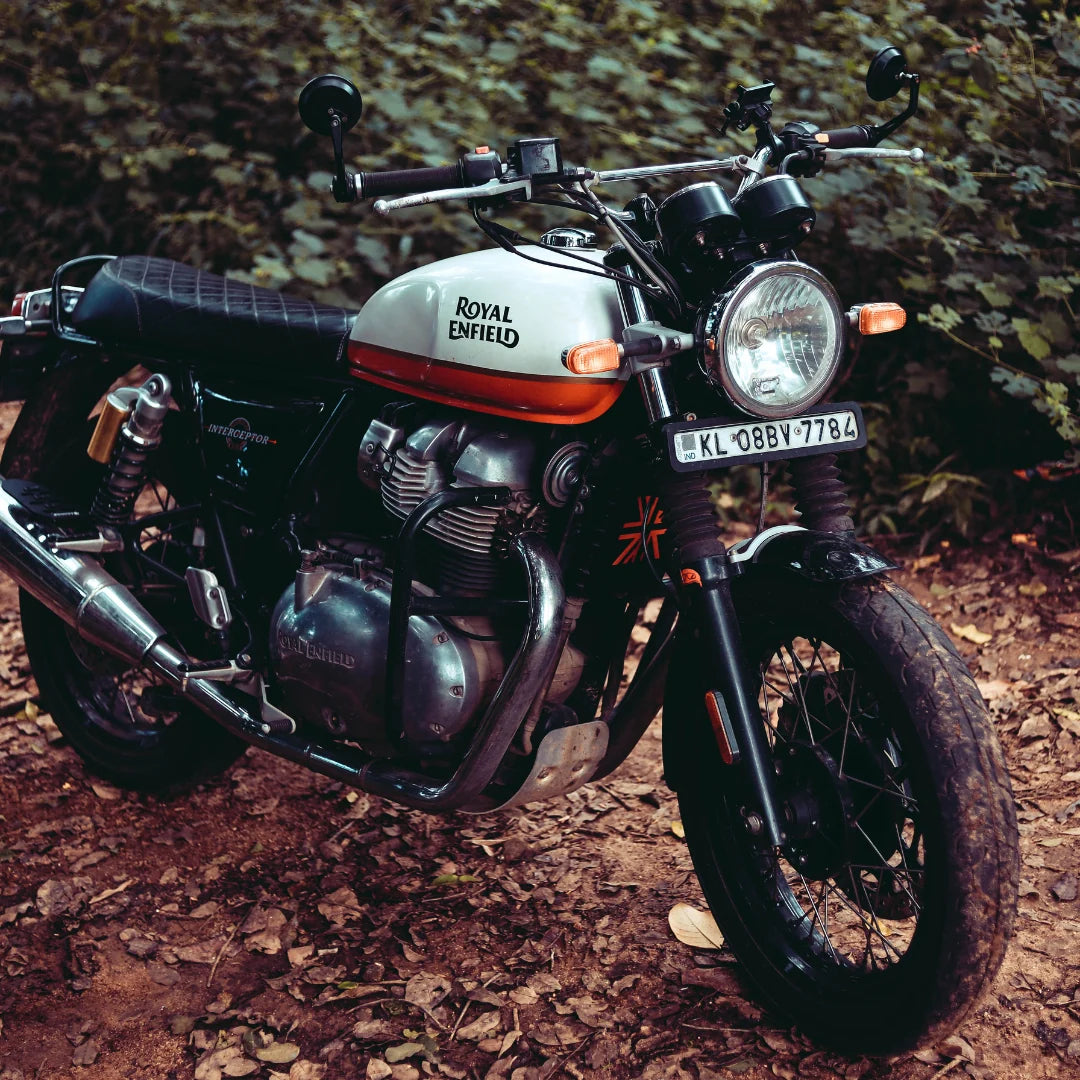 INTERCEPTOR GT 650 RADIATOR GUARD