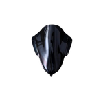 Visor R15-V3 DB