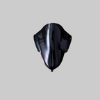 Visor R15-V3 DB