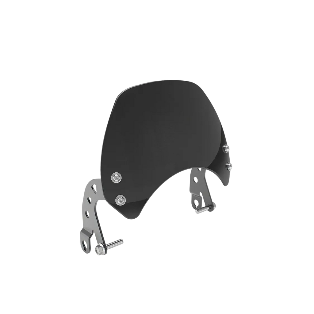 Visor Black Glass Interceptor/GT