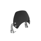 Visor Black Glass Interceptor/GT